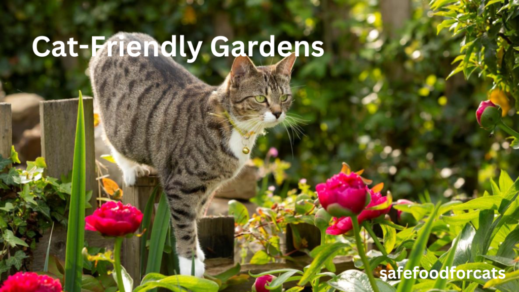 Is Zinnias Safe For Cats