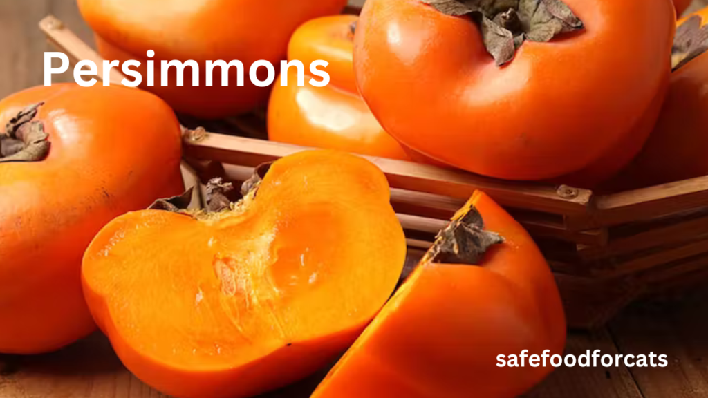 Are Persimmons Safe For Cats?