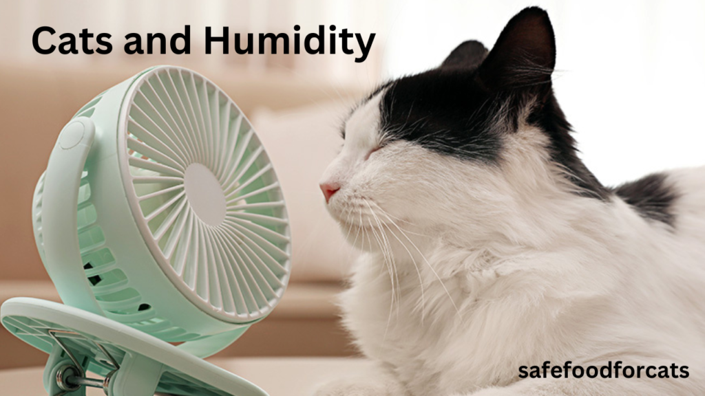 Are Vicks Humidifiers Safe For Cats