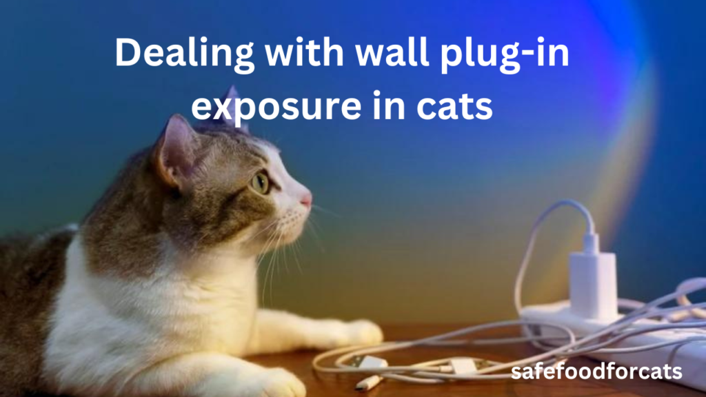 Are Wall Plugins Safe For Cats