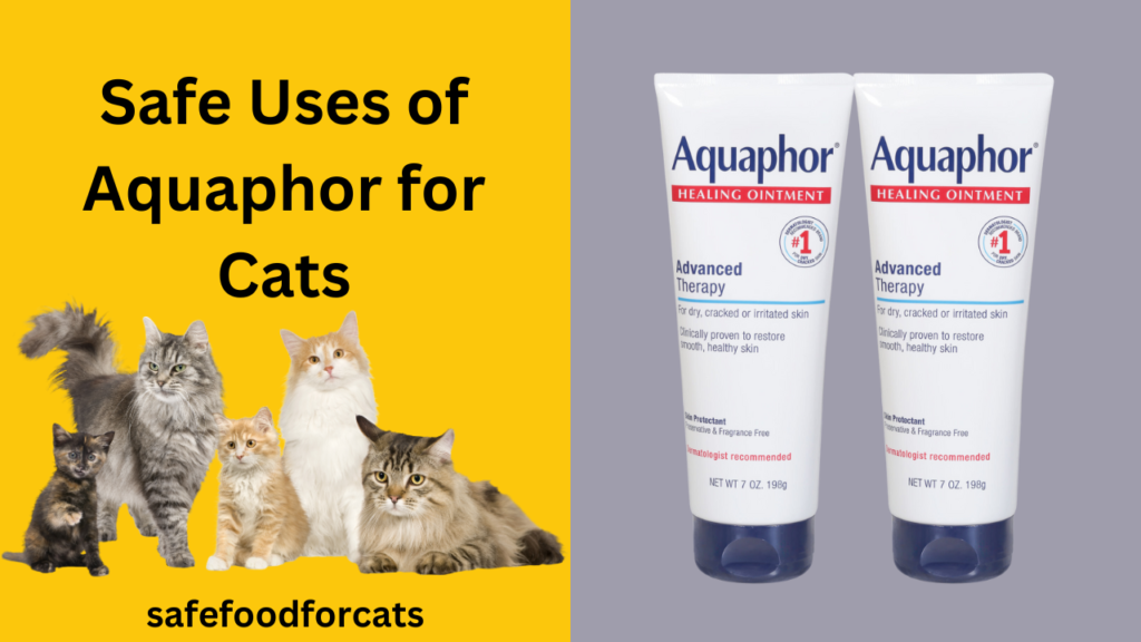 Is Aquaphor Safe For Cats