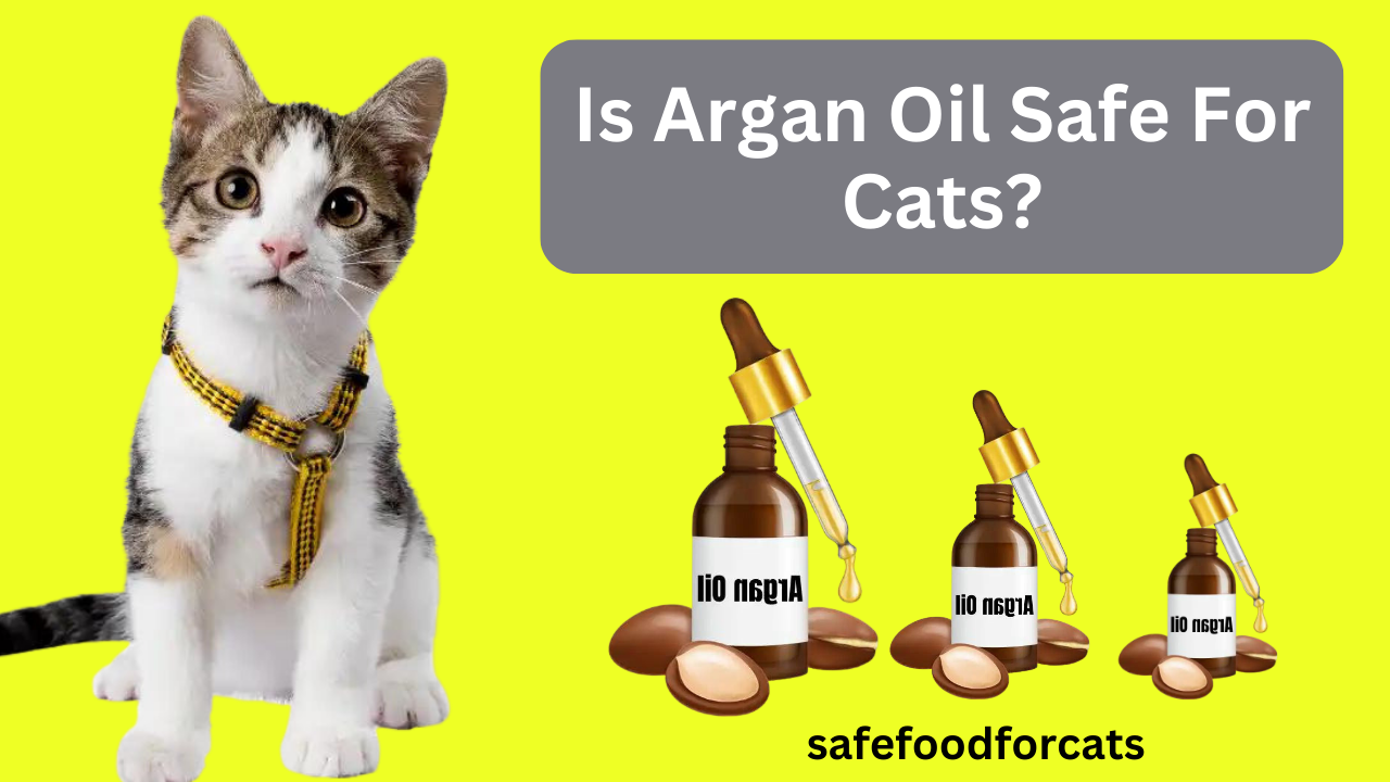 Is Argan Oil Safe For Cats?