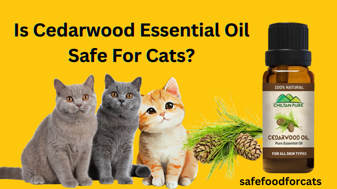 Is Cedarwood Essential Oil Safe For Cats