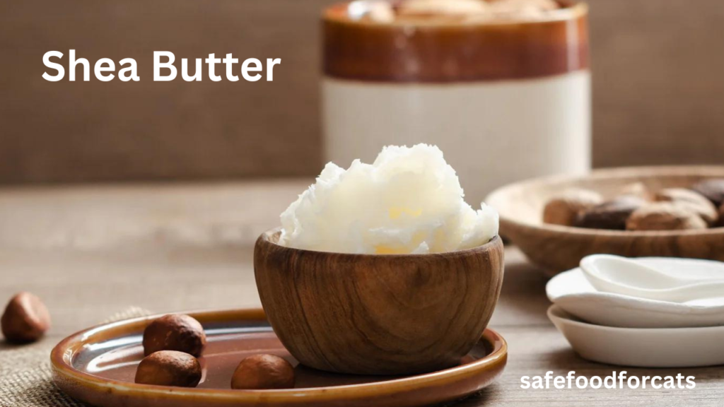 Is Shea Butter Safe For Cats