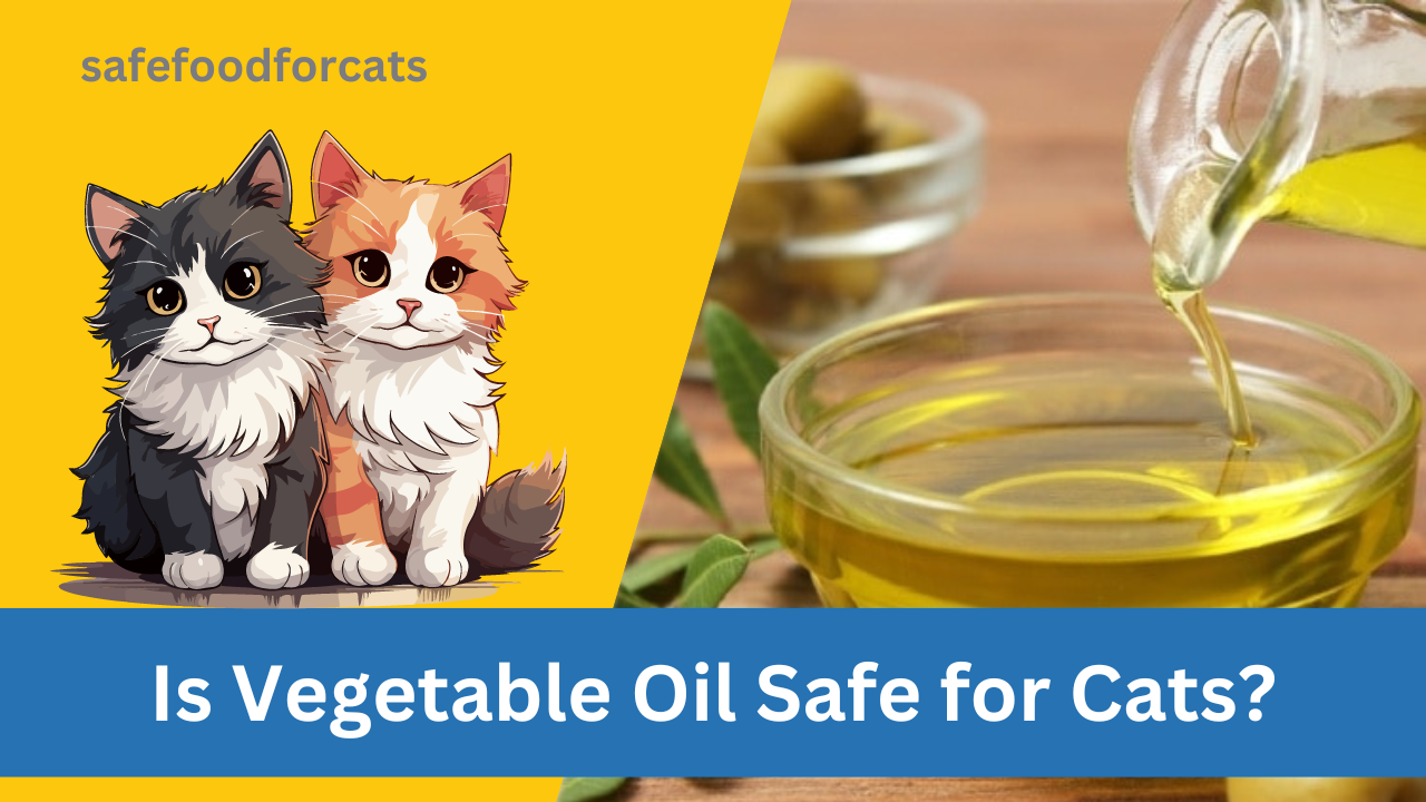 Is Vegetable Oil Safe for Cats