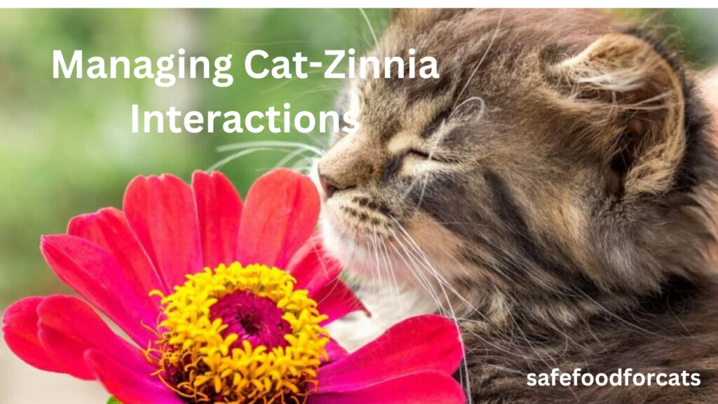 Is Zinnias Safe For Cats