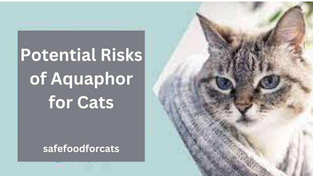 Is Aquaphor Safe For Cats