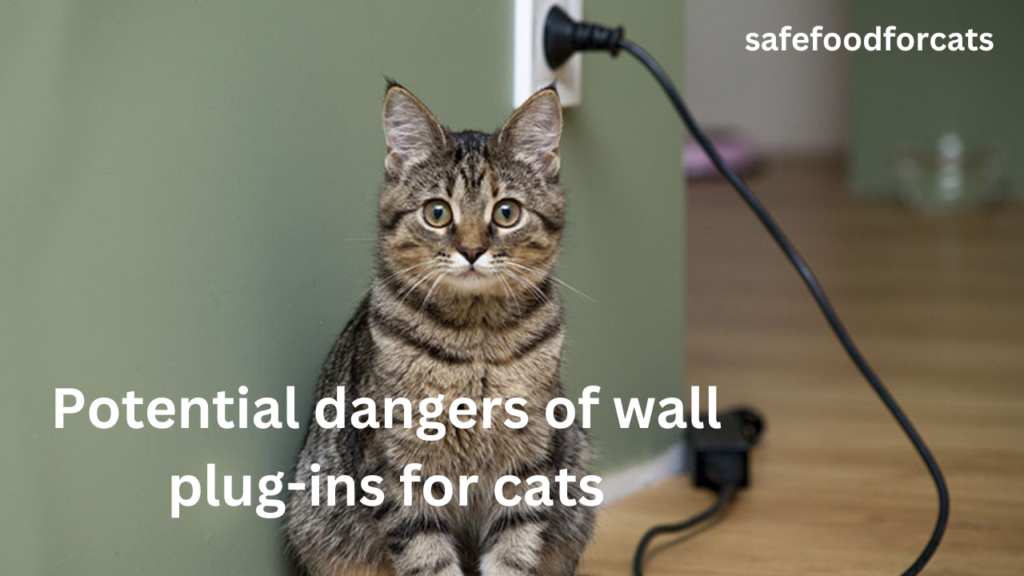 Are Wall Plugins Safe For Cats