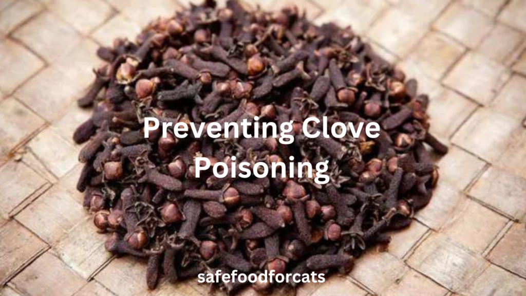 Are Cloves Safe For Cats