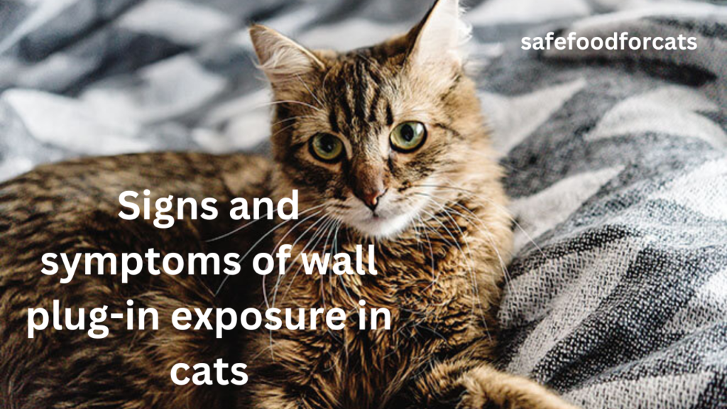 Are Wall Plugins Safe For Cats