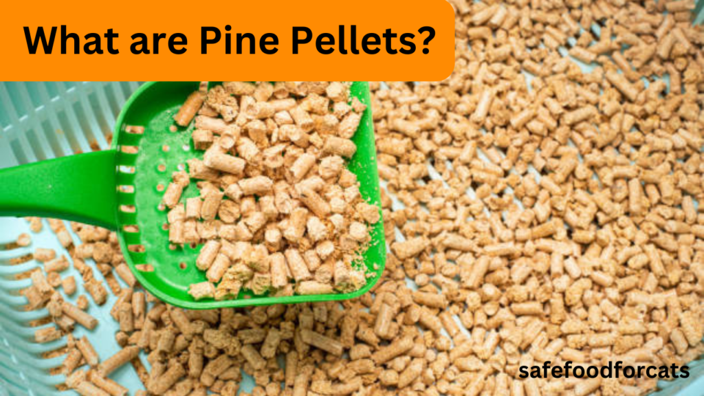 Are Pine Pellets Safe For Cats