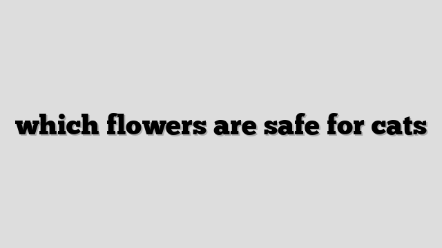 which flowers are safe for cats